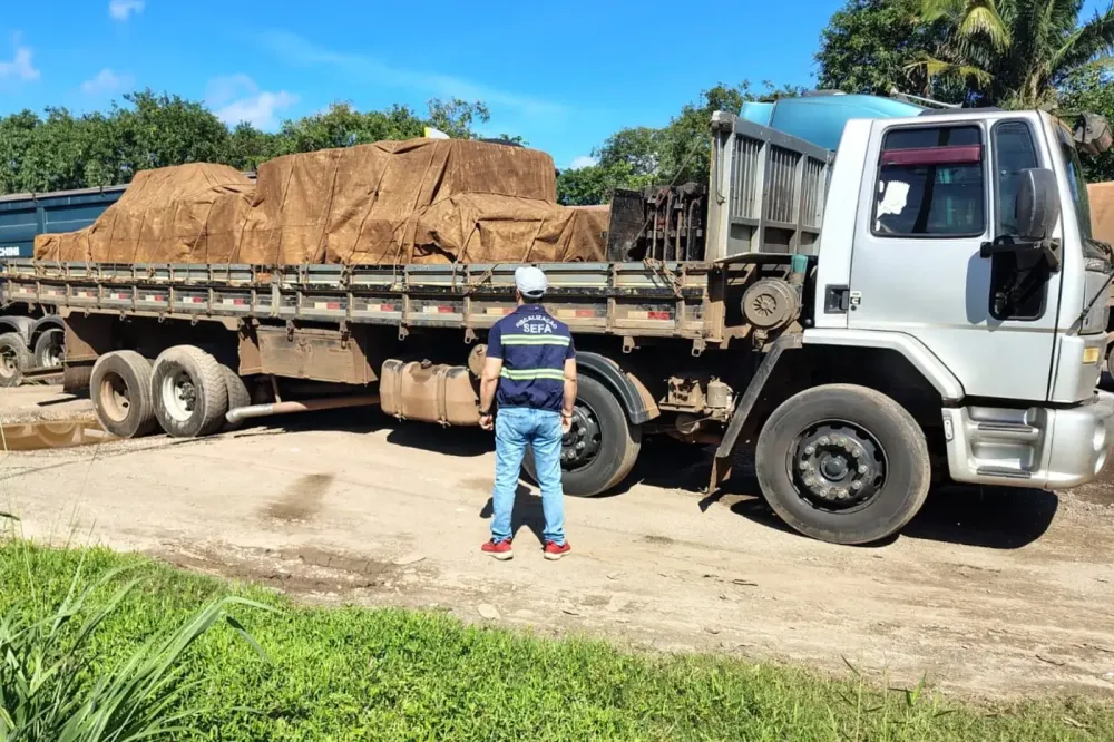 Bombas industriais apreendidas pela fiscaliza&ccedil;&atilde;o da Sefa - foto: Divulga&ccedil;&atilde;o 