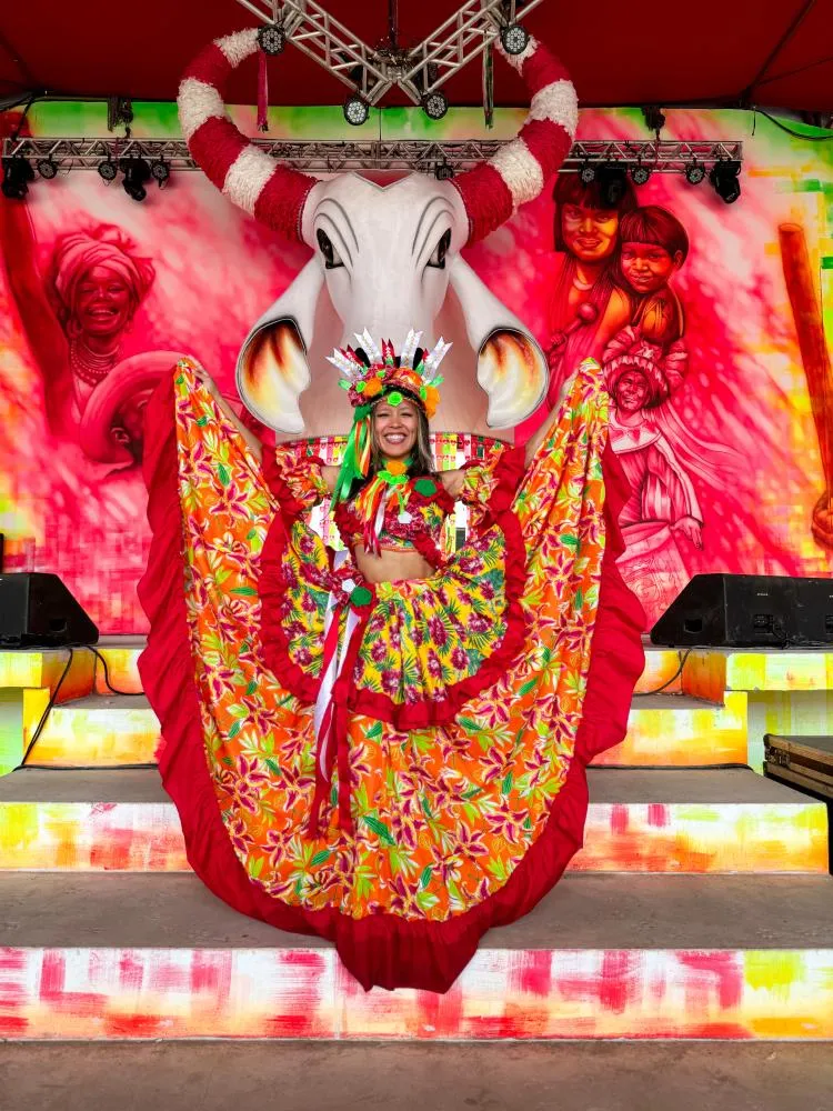 Artista Aline Borari - Foto: Divulga&ccedil;&atilde;o 