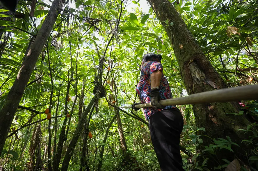 Plano “Acelera Ater” prevê R$ 222 milhões em microcrédito para agricultura familiar no Pará