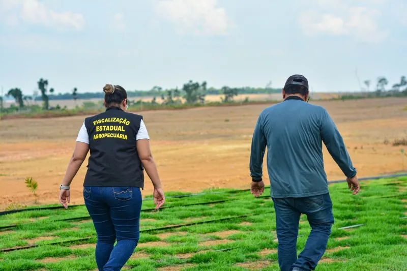 Processo Seletivo da Adepará tem vagas em Almeirim e mais 12 cidades paraenses