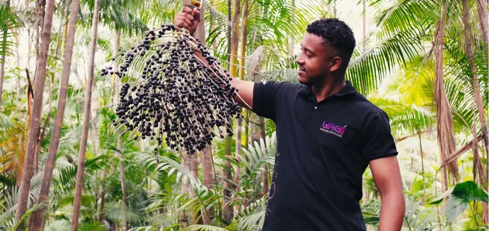 Da Amazônia para o mundo: paraense transforma resíduo em solução global