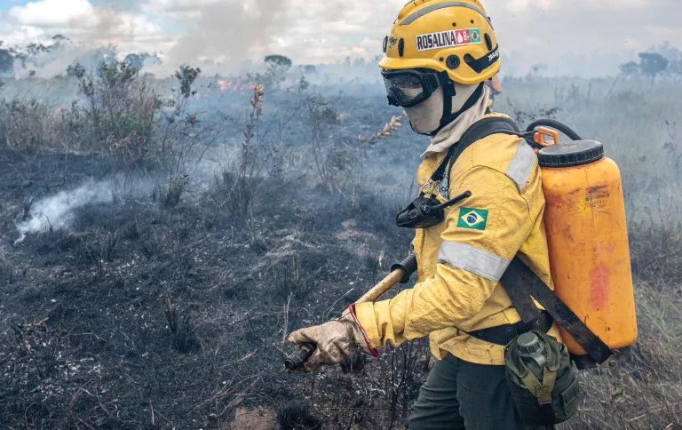 ICMBio abre seleção para agentes temporários ambientais em Santarém e Belterra